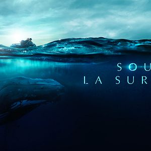 Photo Sous la surface