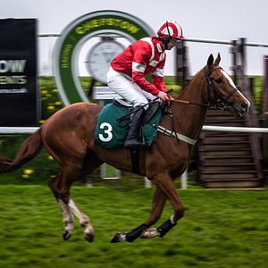 Photo Dream Horse