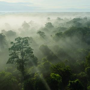 Photo Notre planète a ses limites : L'alerte de la science