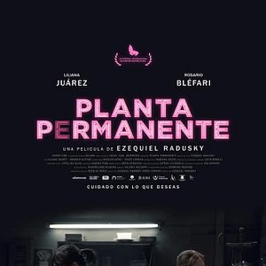 Photo Planta permanente
