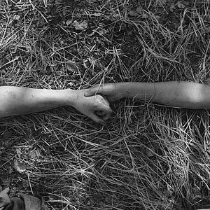 Photo The Painted Bird