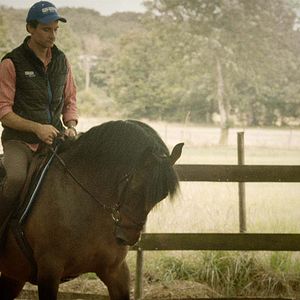 Photo Florian Hessique