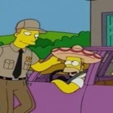 Photo Les Simpson