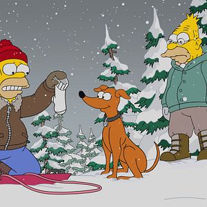Photo Les Simpson
