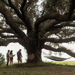 Photo Madison Bailey