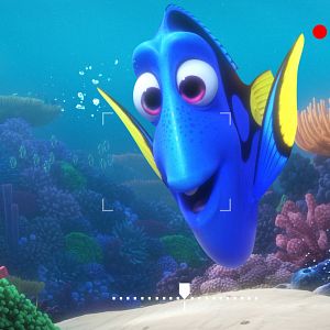 Photo Sous l’océan avec Dory