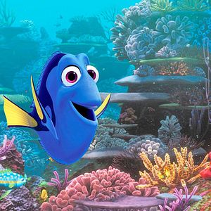 Photo Sous l’océan avec Dory
