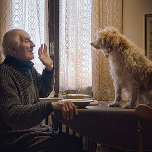 Photo Chasseurs de truffes
