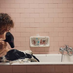 Photo Chasseurs de truffes