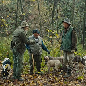 Photo Chasseurs de truffes