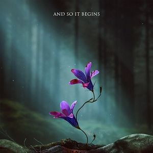Photo Kingdom: Ashin of the North