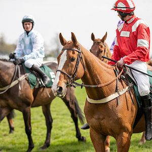 Photo Dream Horse