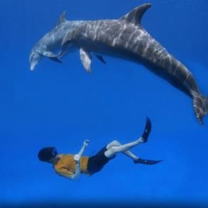 Photo De l'espoir sous l'océan