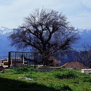 Photo Marin des montagnes