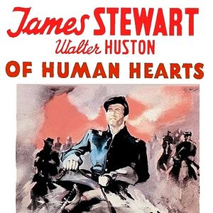Photo Of Human Hearts