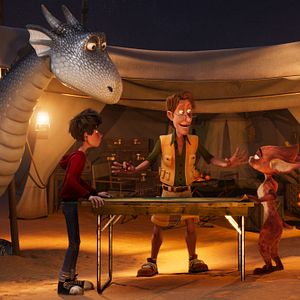 Photo Le Dragon argenté