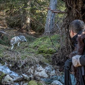 Photo You vs. Wild : Gardons la tête froide