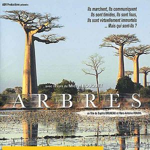 Photo Arbres