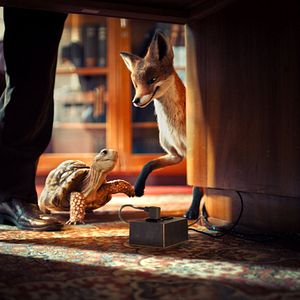 Photo L’Ecole des animaux magiques