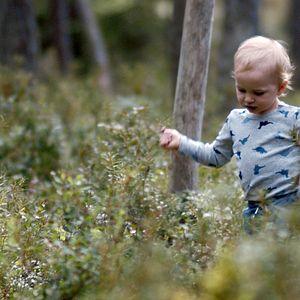 Photo L'homme de la chambre 301