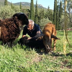 Photo La Ferme qui soigne