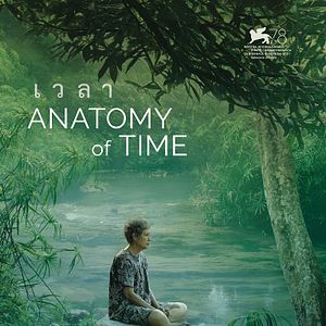 Photo Anatomy of Time