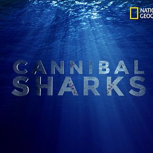 Photo Requins cannibales