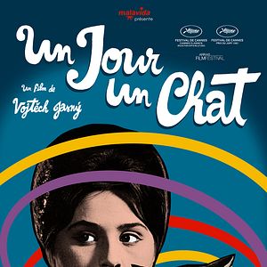 Photo Un Jour un chat