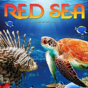 Photo Red Sea