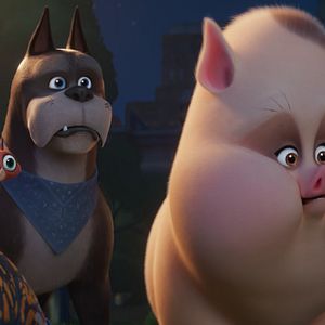 Photo Krypto et les Super-Animaux