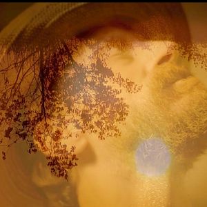 Photo Les Tournesols