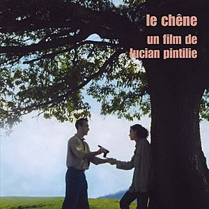 Photo Le Chêne