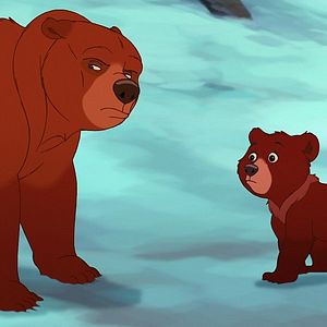 Photo Frère des ours 2