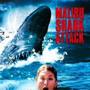 Photo Malibu Shark Attack
