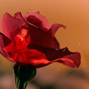 Le Petit prince - film 1974 - AlloCiné