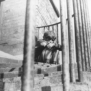 Photo Stephen Archibald