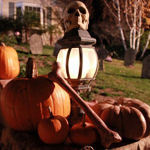 Photo Le chien qui a sauvé Halloween