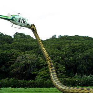 Photo Piraconda
