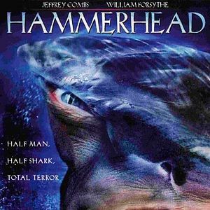 Photo Hammerhead