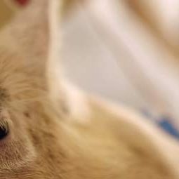 Photo Upstream Color