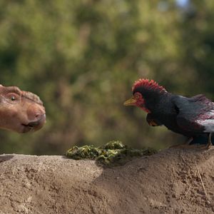 Photo Sur la terre des dinosaures, le film 3D