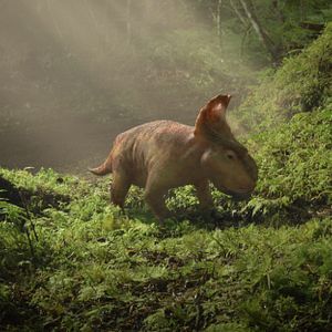 Photo Sur la terre des dinosaures, le film 3D