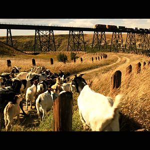 Photo L'Extravagant voyage du jeune et prodigieux T.S. Spivet
