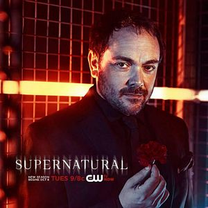 Photo Mark Sheppard