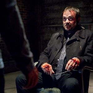 Photo Mark Sheppard