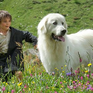 Photo Félix Bossuet