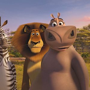 Photo Madagascar en folie