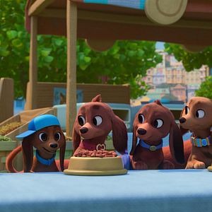 Photo Bretzel et les bébés chiens