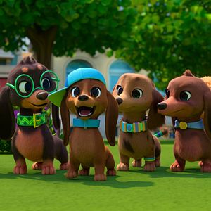 Photo Bretzel et les bébés chiens