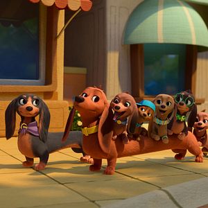 Photo Bretzel et les bébés chiens